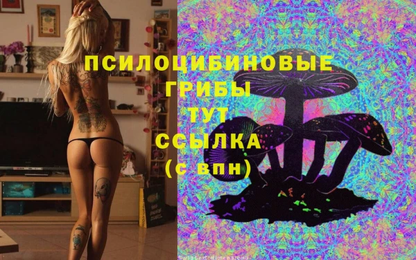 эйфоретик Бронницы